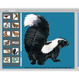 Hi-Rez Art Illustrations: Animals Clipart (Download)