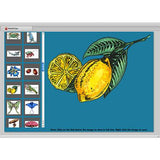 Hi-Rez Art Illustrations: Nature Clip Art