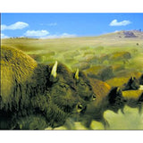 Oregon Trail 4th Edition