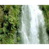 Living Waterfalls Volume 2 - Video Screensavers