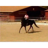 Easy Horseback Riding for Intermediate Riders