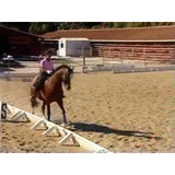 Easy Horseback Riding for Intermediate Riders