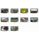 Magnificent Landscapes 1 HD 720p Motion Loops (Download)