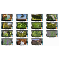 Magnificent Landscapes 2 HD 720p Motion Loops