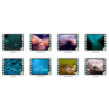 Animated Animals  GIF Motion Loops (Download)