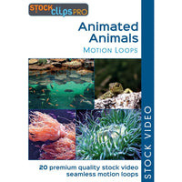 Animated Animals Motion Loops (Download)