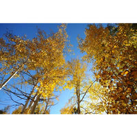 20,000 Stock Photos - 6 DVD Super Bundle