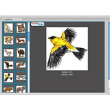 12,000 Pro Clip Art - Super Bundle