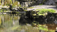 Brilliant Landscapes 2 Motion Loops