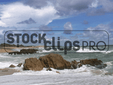 Beaches & Ocean Motion Loops