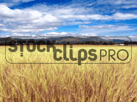 Vivid Landscapes 2 Motion Loops (Download)