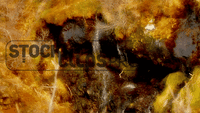 Clouds & Nature HD 720p Motion Loops (Download)