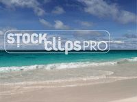 Beaches & Ocean Motion Loops