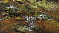 Astounding Waterscapes 3 Motion Loops