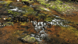 Astounding Waterscapes 3 Motion Loops