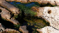 Astounding Waterscapes 3 Motion Loops