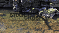 Astounding Waterscapes 1 Motion Loops