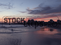 Beaches & Ocean Motion Loops