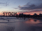 Beaches & Ocean Motion Loops