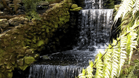 Wondrous Waterscapes 1 HD 720p Motion Loops (Download)