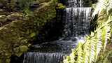 Wondrous Waterscapes 1 HD 720p Motion Loops (Download)