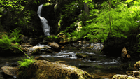 Astounding Waterscapes 3 Motion Loops