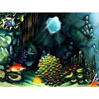 DK: Rainbow Fish - The Most Beautiful Fish in the Ocean