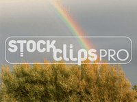 Nature's Wonders 2 Motion Loops (Download)