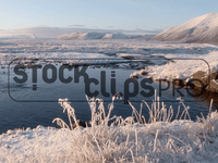 Snowy Winterscapes Motion Loops (Download)