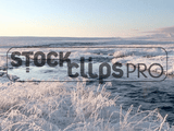 Snowy Winterscapes Motion Loops (Download)