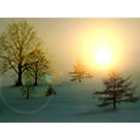 20,000 Stock Photos - 6 DVD Super Bundle