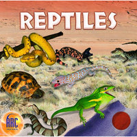 World of Reptiles (Download)