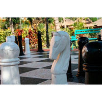 1001 Cultural Photos