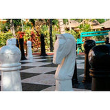 1001 Cultural Photos