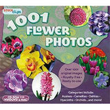 1001 Flower Photos (Download)