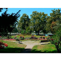 1001 Landscape Photos