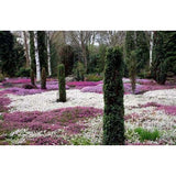 1001 Landscape Photos