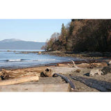 1001 Landscape Photos
