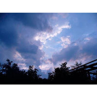 1001 Landscape Photos