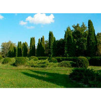 1001 Landscape Photos