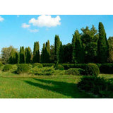 1001 Landscape Photos