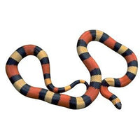 Hi-Rez: Animal PhotoClips (Download)