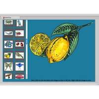 Hi-Rez Art Illustrations: Nature Clip Art