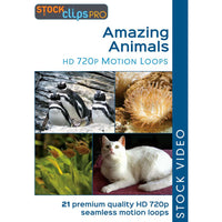 Amazing Animals HD 720p Motion Loops