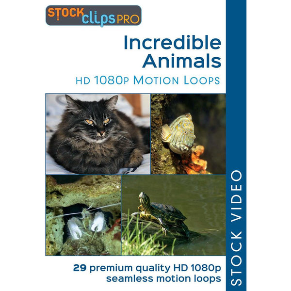 Incredible Animals Motion Loops (Download)