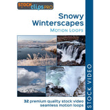 Snowy Winterscapes Motion Loops