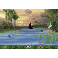 Amazon Trail 3rd Edition