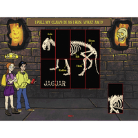 ClueFinders 3rd Grade Adventures