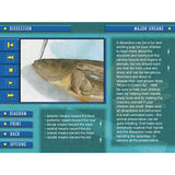 Kid Science: Fish Dissection (Download)
