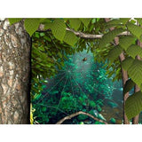 Bug Life 3D